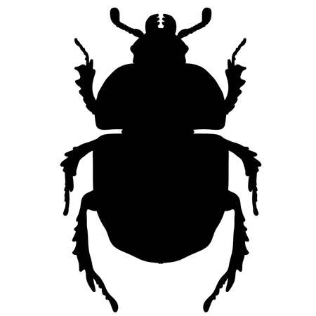 black silhouette of a beetle on a white backgroundのイラスト素材
