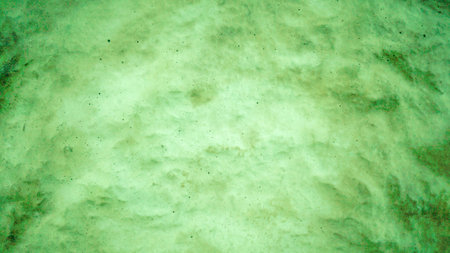 wood texture with peeled paint for wallpaper desktop, Phone Wallpapers. texture for collages
