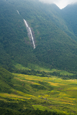 Terraced rice field landscape in Sapa, Vietnam.の写真素材