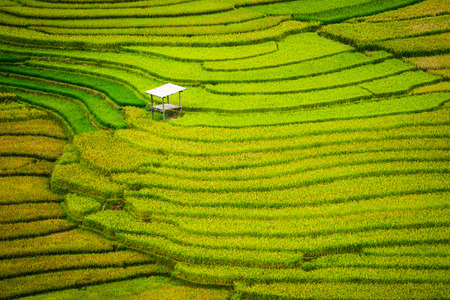 Terraced rice field landscape near Sapa in Vietnam. Mu Cang Chai Rice Terrace Fields stretching across the mountainside, layer by layer reaching up as endless, with about 2,200 hectares of rice terraces, of which 500 hectares of terraces of 3 communes sucの写真素材