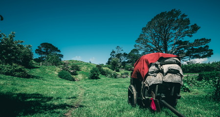 Countryside landscape in summer. Home botanical garden scenery. Beautiful old farm land and agriculture industry.の写真素材