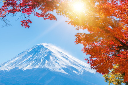 Colorful Autumn in Mount Fuji, Japan - Lake Kawaguchiko is one of the best places in Japan to enjoy Mount Fuji scenery of maple leaves changing color giving image of those leaves framing Mount Fuji.の写真素材