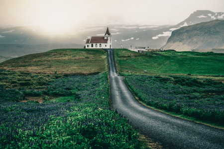 Ingjaldsholl church in Hellissandur, Iceland in the field of blooming lupine flowers with  of Snaefellsjokull mountain.の写真素材