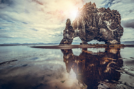 Hvitserkur unique basalt rock in Iceland. The majestic Hvitserkur is a 15 meter high monolith standing offshore of Vatnsnes peninsula in North-West Iceland. It's famous travel destination of Iceland.の写真素材