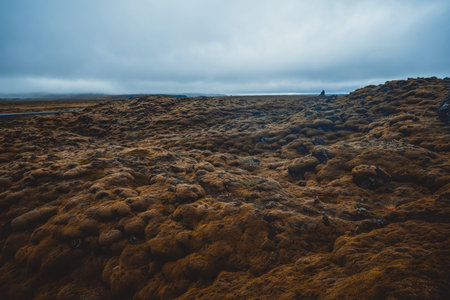 Volcanic ash and lava field in Iceland. Geothermal landscape.の写真素材
