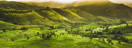 Beautiful sunset at panoramic landscape of terrace rice field on mountain. Forest and agriculture field in autumn scenery.の写真素材