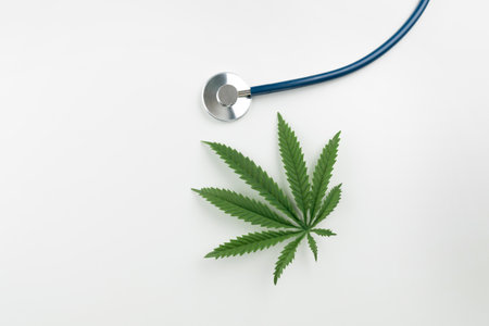 Flat lay top view image of a green sativa hemp leaf next to a stethoscope. Concept of legalized marijuana for medical purposes. Cannabis is being used in healthcare and medicine to treat illnesses.の写真素材