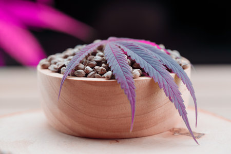 Hemp seeds on round wooden bowl with hemp leaf. Legalized cannabis concept for medical and healthcare purpose.の写真素材