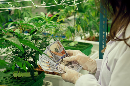 Closeup female scientist holding dollar banknotes money after gratifying profiting from selling...