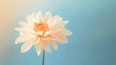 Beautiful blossom orange and teal flower and fresh spring morning nature on isolated background. Picturesque generative AIの素材