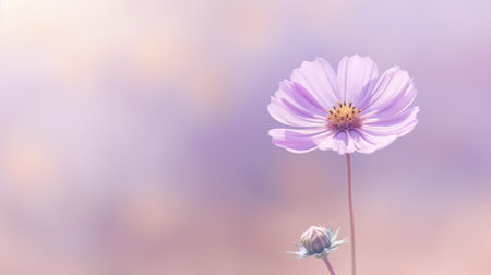 Beautiful blossom lavender purple and pink flower and fresh spring morning nature on isolated background. Picturesque generative AIの素材