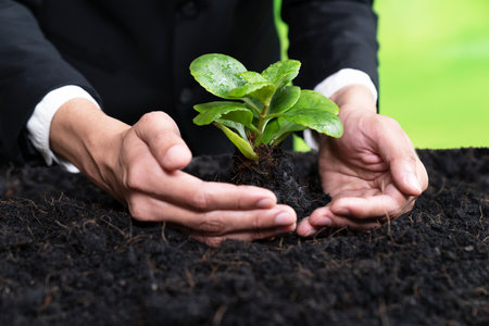 Businessman hold young seedling on fertile soil for eco forest regeneration. Eco Corporate policy for environmental awareness and sustainable future, saving planet by reducing carbon footprint. Alterの写真素材
