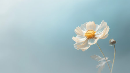 Beautiful blossom single flower and fresh spring morning nature on isolated background. Picturesque generative AIの素材