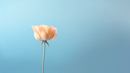 Beautiful blossom orange and teal flower and fresh spring morning nature on isolated background. Picturesque generative AIの素材