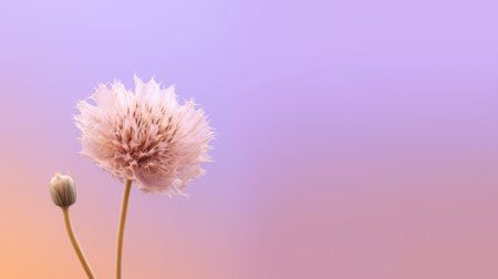 Beautiful blossom lavender purple and pink flower and fresh spring morning nature on isolated background. Picturesque generative AIの素材