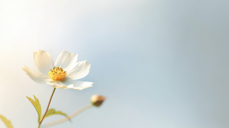Beautiful blossom single flower and fresh spring morning nature on isolated background. Picturesque generative AIの素材