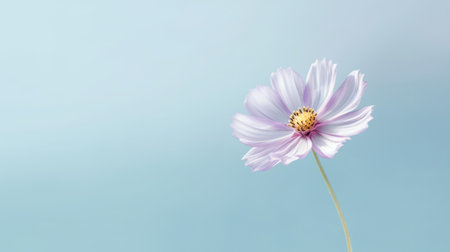 Beautiful blossom lavender purple and pink flower and fresh spring morning nature on isolated background. Picturesque generative AIの素材
