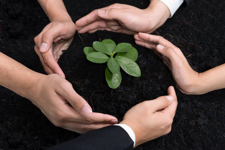 Eco-friendly investment on reforestation by group of business people holding plant together in office promoting CO2 reduction and natural preservation to save Earth with sustainable future. Quaintの写真素材