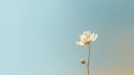 Beautiful blossom single flower and fresh spring morning nature on isolated background. Picturesque generative AIの素材