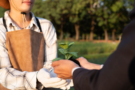 Eco-business company empower farmer with eco-friendly farming practice and clean agricultural technology. Cultivate sustainable future nurturing plants to grow and thrive. Gyreの写真素材