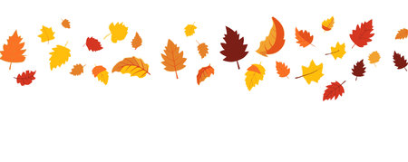 Flat design of autumn leaves fall , autumn colored leaves isolated set for advertising banner of autumn season, vector illustration .のイラスト素材