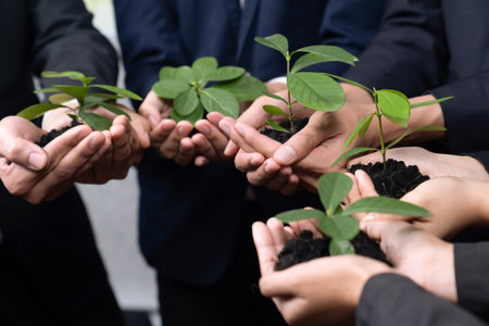 Eco-friendly investment on reforestation by group of business people holding plant together in office promoting CO2 reduction and natural preservation to save Earth with sustainable future. Quaintの写真素材