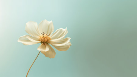 Beautiful blossom single flower and fresh spring morning nature on isolated background. Picturesque generative AIの素材