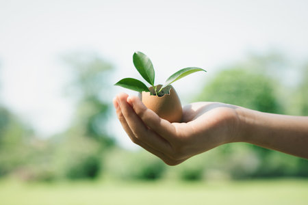 Kids hand holding repuposed eggshell transformed into fertilizer pot, symbolizing commitment to nurture and grow sprout or baby plant as environment social governance for future generation. Gyreの写真素材
