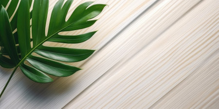 Flat lay photo white wooden and green leaf around it, copy space background. Generative AI image weber.の素材
