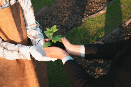 Eco-business company empower farmer with eco-friendly farming practice and clean agricultural technology. Cultivate sustainable future nurturing plants to grow and thrive. Gyreの写真素材