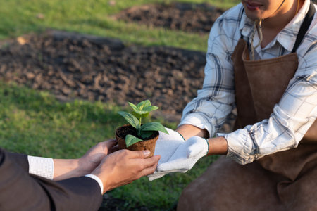 Eco-business company empower farmer with eco-friendly farming practice and clean agricultural technology. Cultivate sustainable future nurturing plants to grow and thrive. Gyreの写真素材