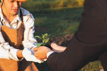 Eco-business company empower farmer with eco-friendly farming practice and clean agricultural technology. Cultivate sustainable future nurturing plants to grow and thrive. Gyreの写真素材