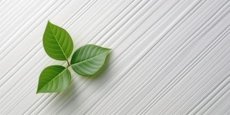 Flat lay photo white wooden and green leaf around it, copy space background. Generative AI image weber.の素材