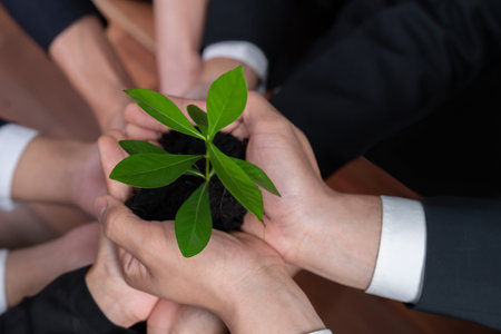 Panoramic banner top view business investment on reforestation by group of people holding plant together promoting CO2 reduction and natural preservation to save Earth with sustainable future. Quaintの写真素材