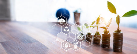 Growing young tree seedling planted on top of coin stack with ESG business investment with sustainable growth potential lead to profitable financial return and environmental protection. Relianceの写真素材