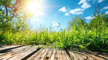 The picture of the wood table in the middle of the forest that surrounded with an uncountable amount of tree and plant in the forest with a bright light from the brightest sun of the daytime. AIGX03.の素材