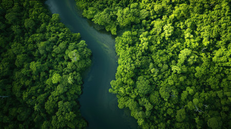Overhead shot of a winding river cutting through a dense, vibrant green forest, highlighting natures intricate patterns. aerial view. Resplendent.の素材
