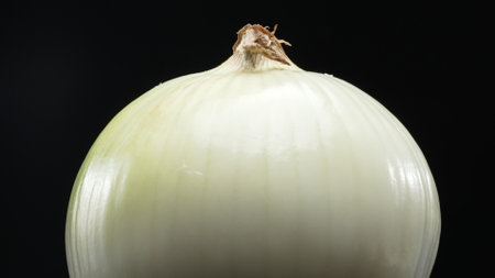 A close-up of a fresh peeled onion, sliced paper-thin, placed with black background. White and yellow layers cascade down, each a promise of crisp texture and pungent bite. Macrography. Comestible.の写真素材