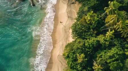 An aerial view of two individuals standing on the beach, overlooking the azure waters with surfboards in hand AIG50の素材