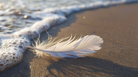 a feather is laying on the beach near the water . High quality AIG50の素材