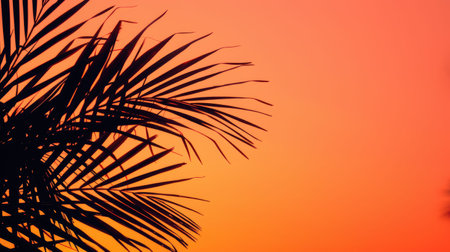 The silhouette of a palm trees leaves against the sunset sky creates a stunning landscape. This closeup view highlights the beauty of this terrestrial plant in the Arecales order AIG50の素材