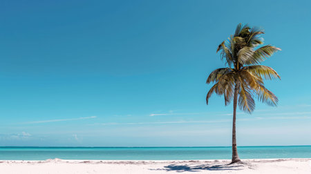 A palm tree stands on the sandy beach near the vast ocean, under a clear blue sky with fluffy clouds, adding to the beautiful coastal natural landscape AIG50の素材