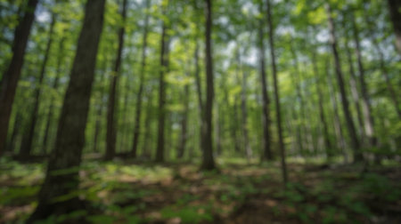 Blur background of sunlight filtering through a dense green forest, highlighting the tranquility and natural beauty. Peaceful woodland scene. Design for environmental conservation themes. Spate.の写真素材