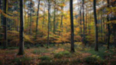 Blur background of sunlight filtering through a dense green forest, highlighting the tranquility and natural beauty. Peaceful woodland scene. Design for environmental conservation themes. Spate.の写真素材