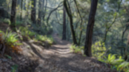 Blur background of sunlight filtering through a dense green forest, highlighting the tranquility and...