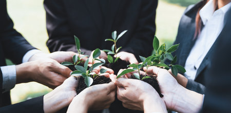 Business people hold plant together in unity and teamwork concept of eco company committed to corporate social responsible, reducing CO2 emission, embrace ESG principle for sustainable future. Gyreの写真素材