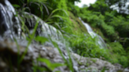 Blur background of tropical waterfall oasis surrounded by dense foliage. Digital art of water fall surrounded with tree with sun ray shine. Exotic travel and nature concept. Design for poster. Spate.の写真素材