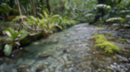 Blur background of stream gently flowing through a lush tropical forest. Nature photography....