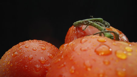 Macrography, tomatoes are showcased against a dramatic black background. Each close-up shot captures the rich colors and textures of the tomatoes.の写真素材
