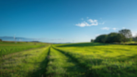 Blur background of spring nature with park or grass lawn with sun ray in summer. Landscape of grass field, cloud and blue sky in bright sunny day. Green environmental public park concept. Spate.の写真素材